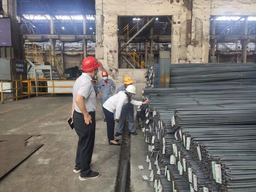 省 市 区三级市场监管部门联合开展钢筋 水泥生产企业监督检查